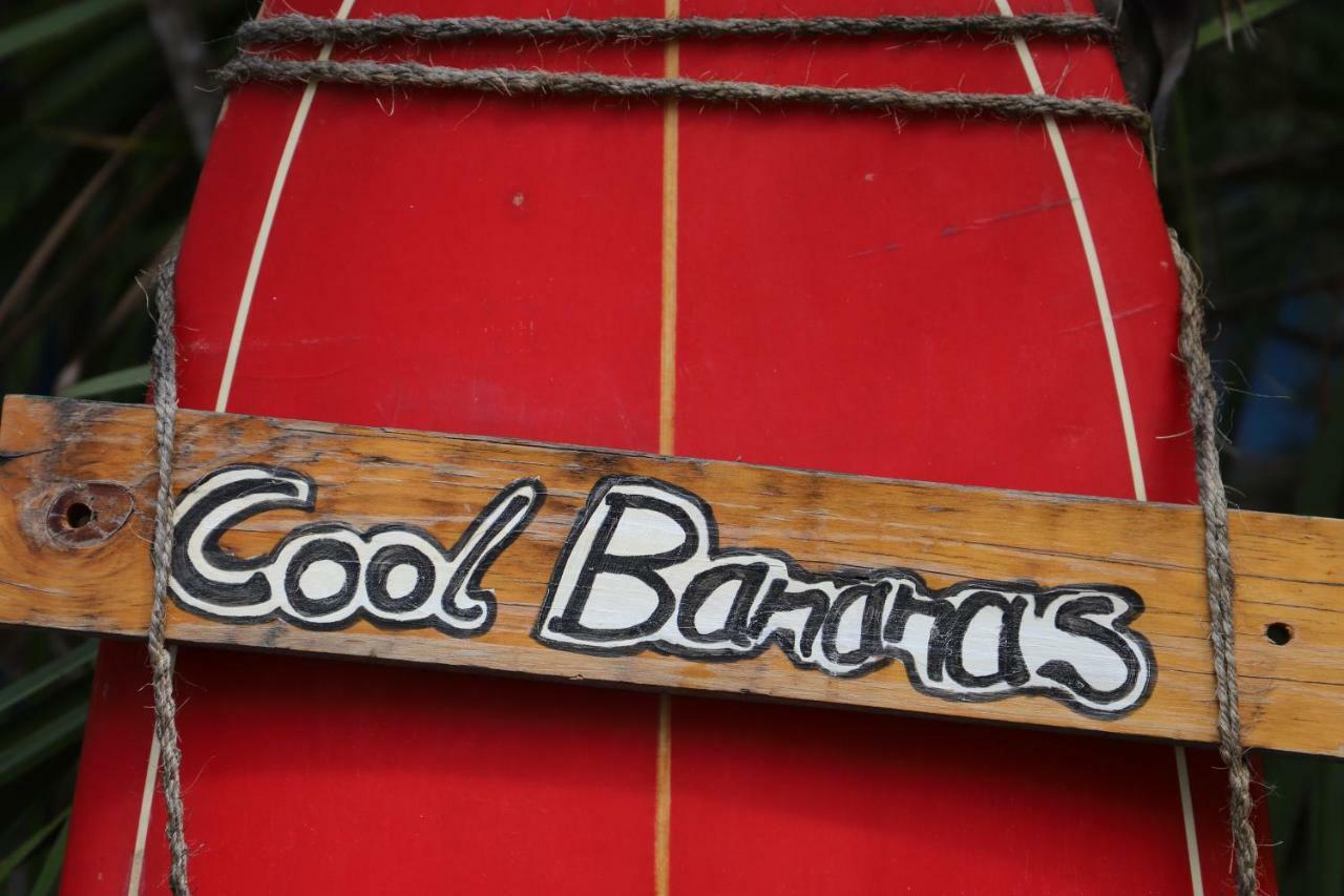Cool Bananas Backpackers Hostel Agnes Water Luaran gambar