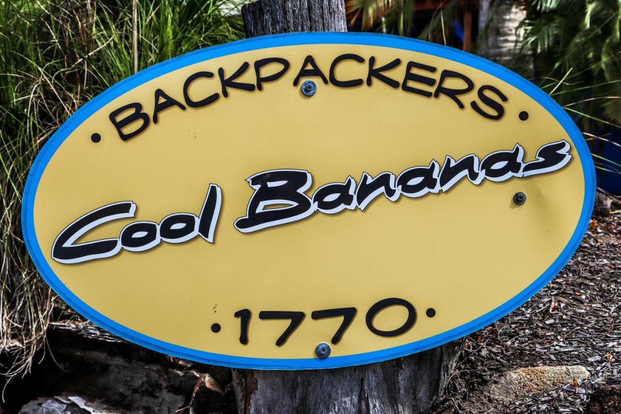 Cool Bananas Backpackers Hostel Agnes Water Luaran gambar