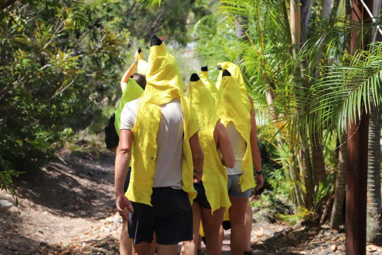 Cool Bananas Backpackers Hostel Agnes Water Luaran gambar